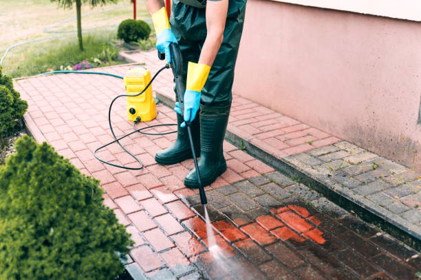 Animal Enclosure Cleaning in Maeser, UT